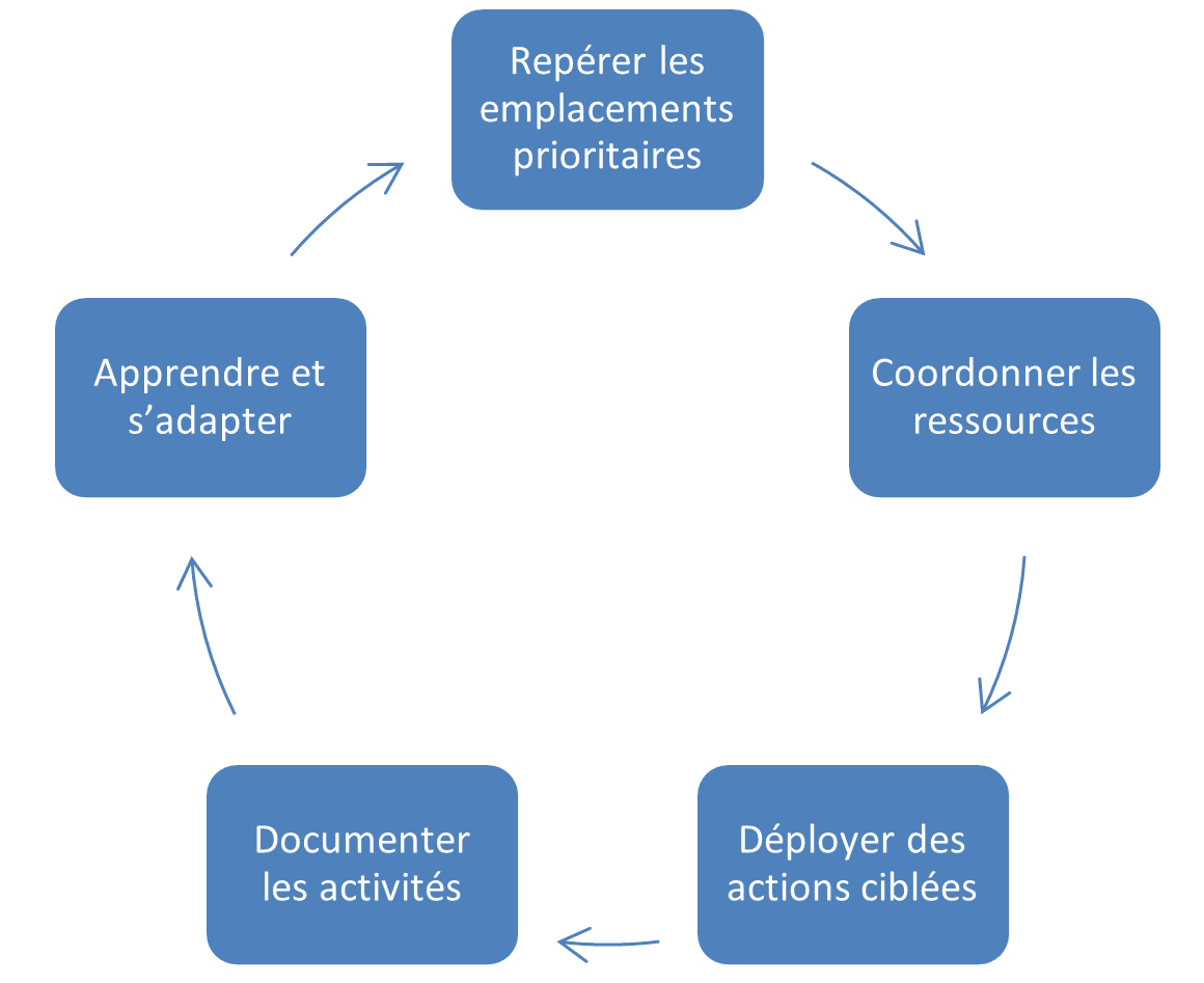 Cycle op&eacute;rationnel en cinq &eacute;tapes : rep&eacute;rer, coordonner, d&eacute;ployer, documenter et s&rsquo;adapter.