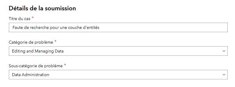 Champs &agrave; remplir pour cat&eacute;goriser votre cas.