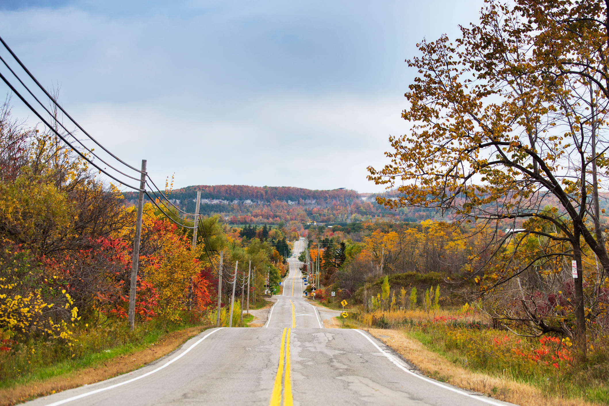 Des lignes &eacute;lectriques longent une route rurale &agrave; Milton, en Ontario, illustrant le r&eacute;seau de distribution d&rsquo;&eacute;lectricit&eacute; qui alimente des communaut&eacute;s en pleine croissance.