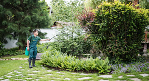 Top Pest Control Tips to Keep Communities Bug-Free