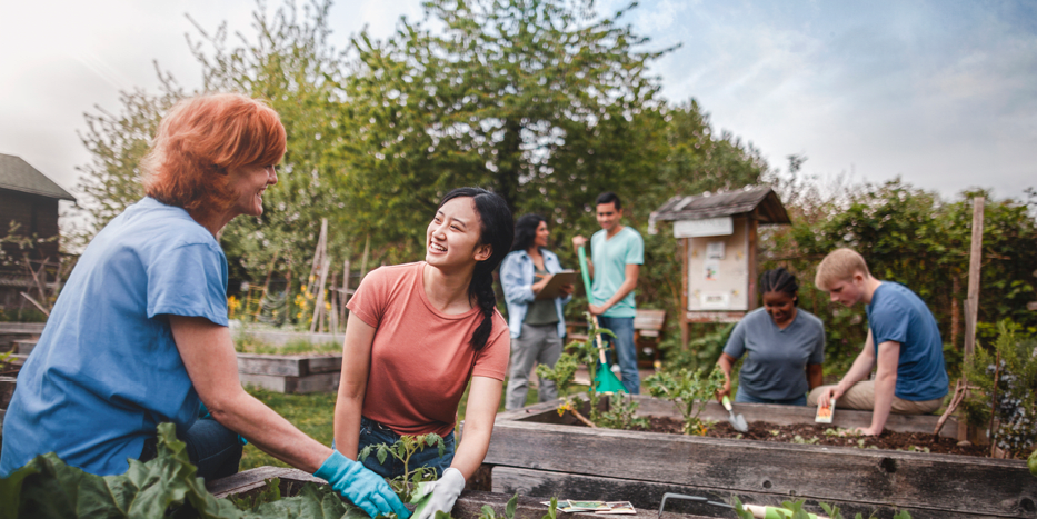 Volunteers working in a community garden