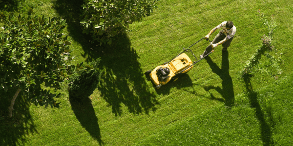 man mowing lawn in summer