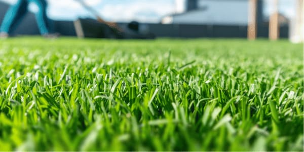 man mowing grass in backyard