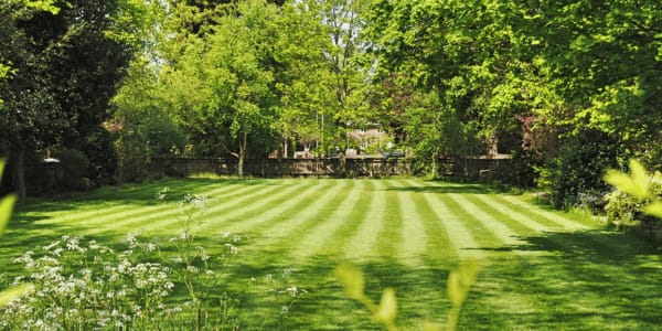 mowed lawn in criss-cross pattern