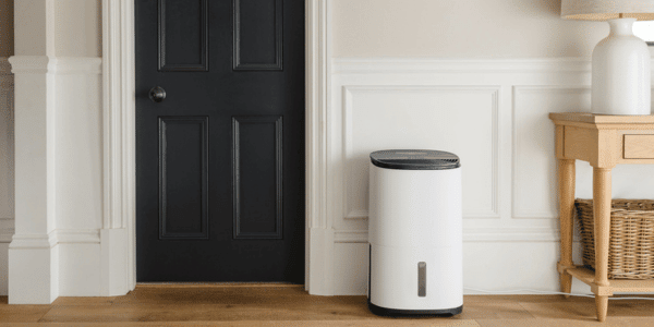dehumidifier in home living room
