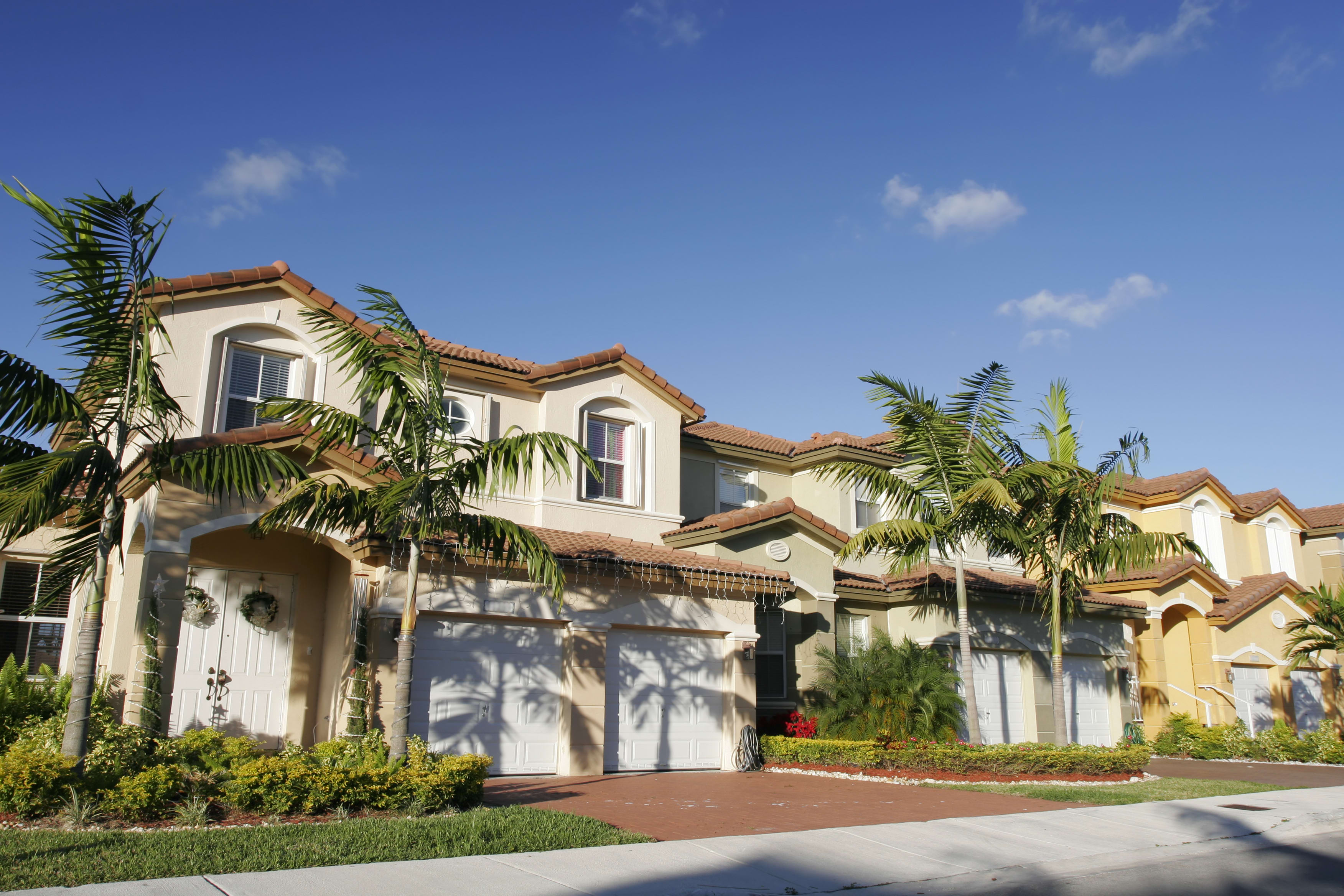 condos with palm trees