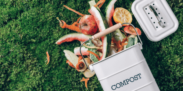 compost bin with composting items