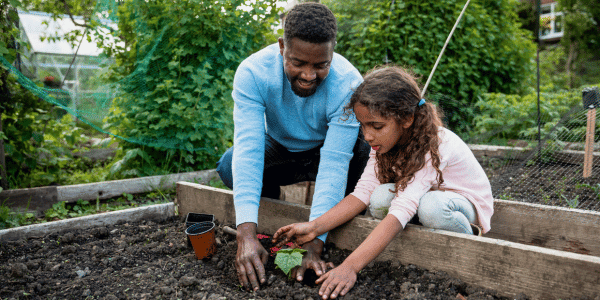 father and daughter using compost in garden