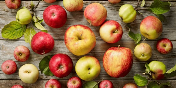lesser known apple varieties on table