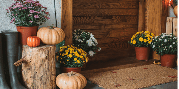 mums on front porch 
