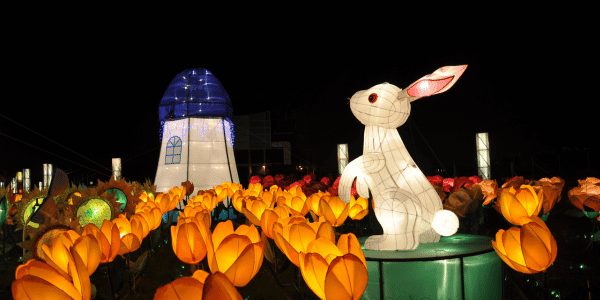 celebrating Mid-Autumn festival with rabbits and lanterns at night