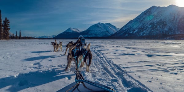 dogsledding in The Yukon, Canada