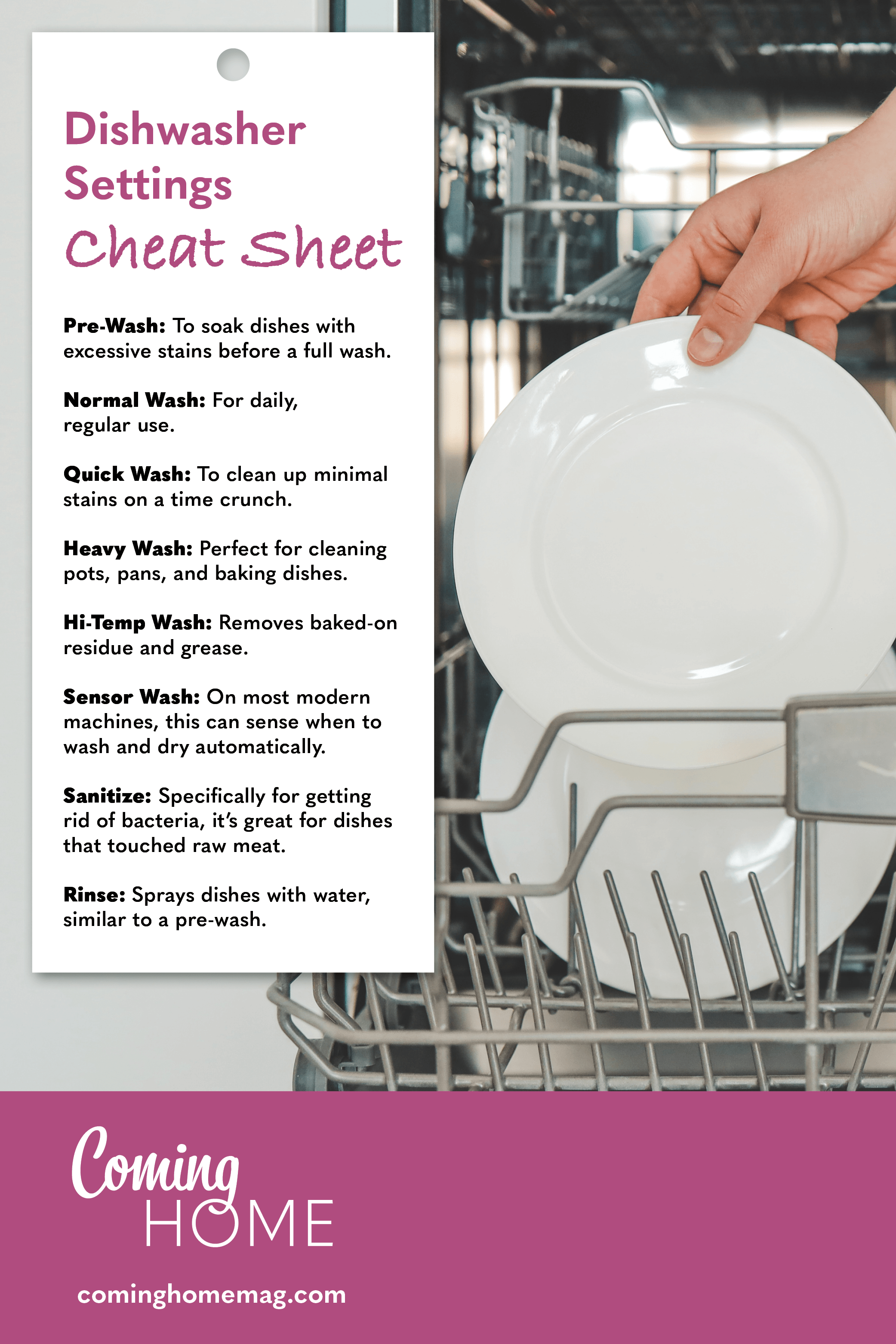 dishwasher settings cheatsheet 