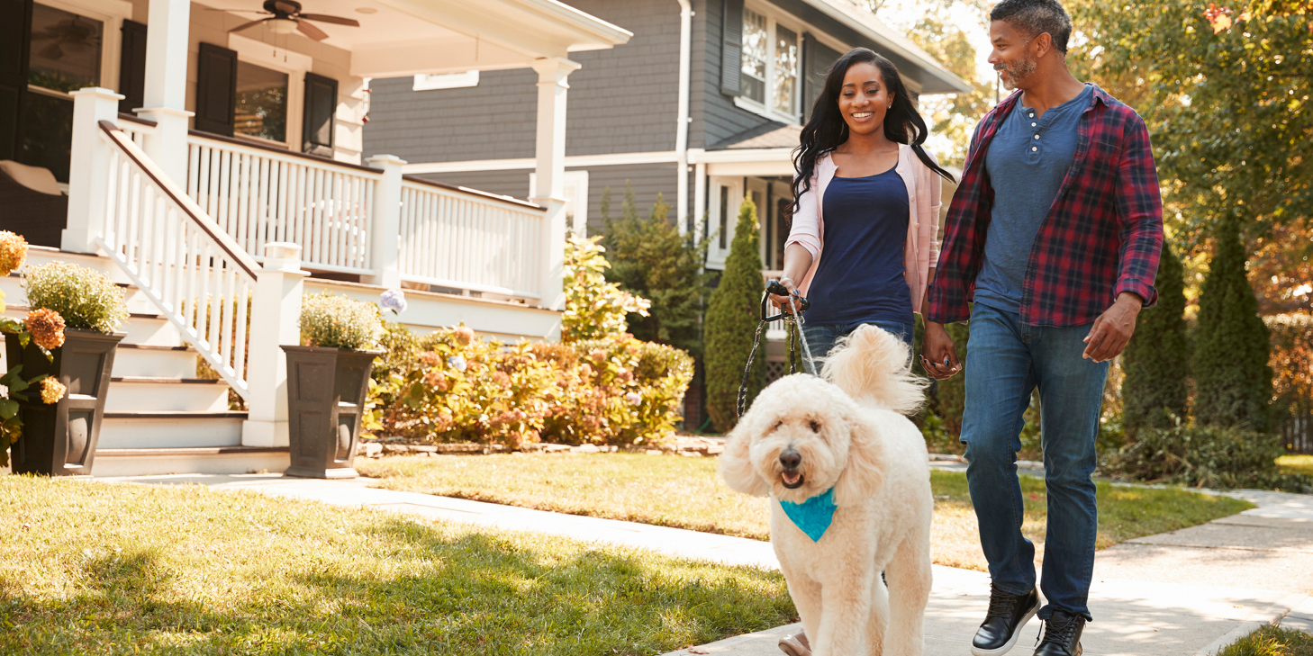 Man and woman walking dog on a neighborhood sidewalk