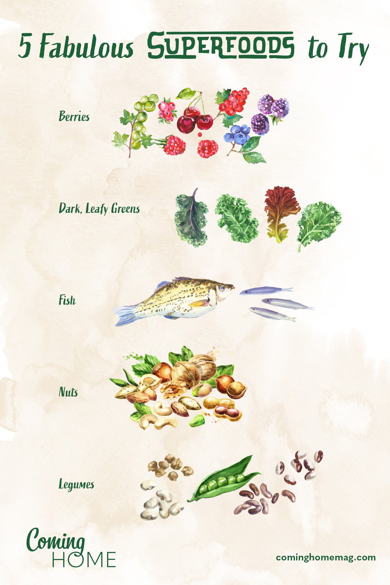 5 fabulous superfoods to try
