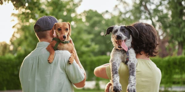 family holding two new dogs over shoulder in park
