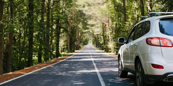 car driving in forest with essential car items