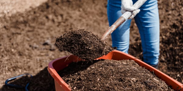 person shoveling organic mulch in garden