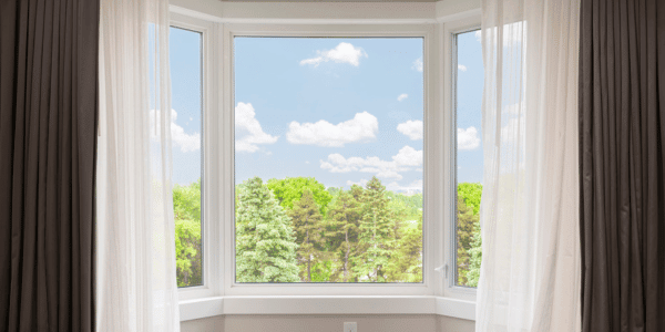 picture window with tree view