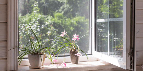 garden window in kitchen with plants on windowsill 