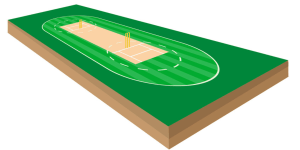 3d diagram of cricket field