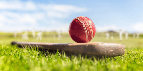 closeup of cricket ball stacked on top of cricket bat