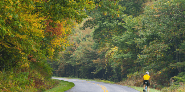 cyclist biking on Blue Ridge Parkway
