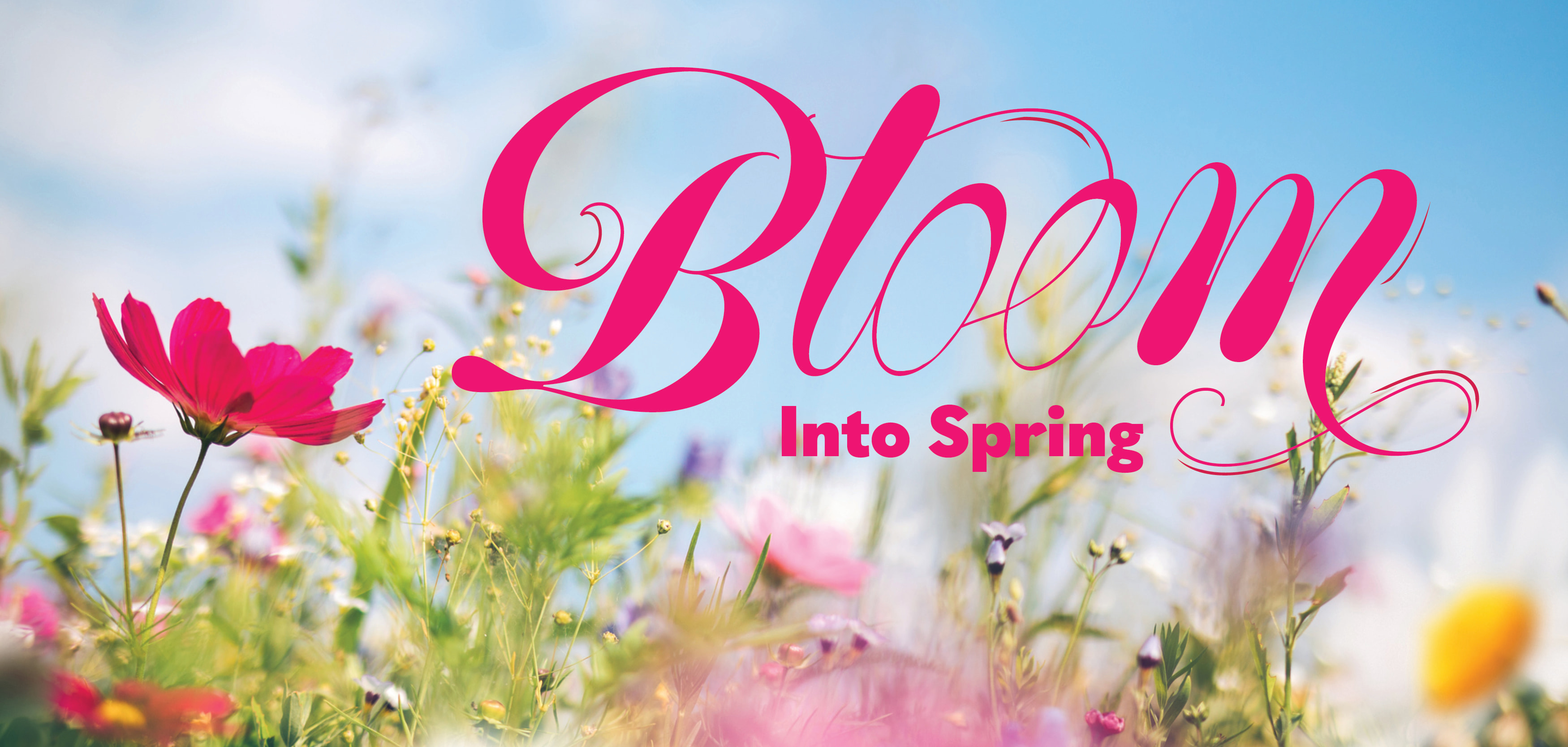 bloom into spring text with beautiful wildflower spring garden