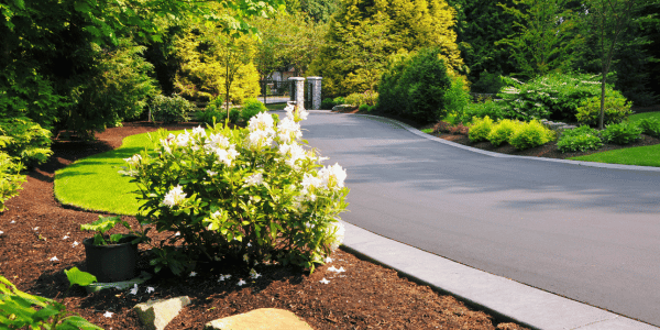 attractive landscaping in front of home
