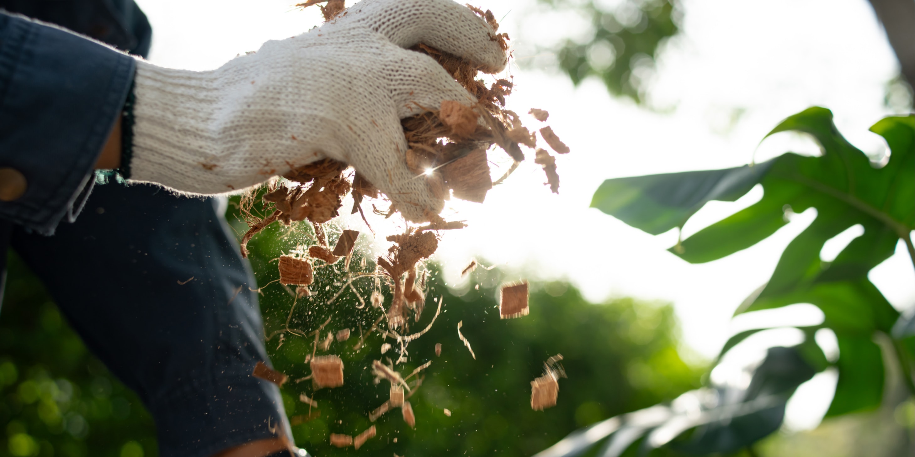 Close-up of a gloved hand holding compost in a garden.