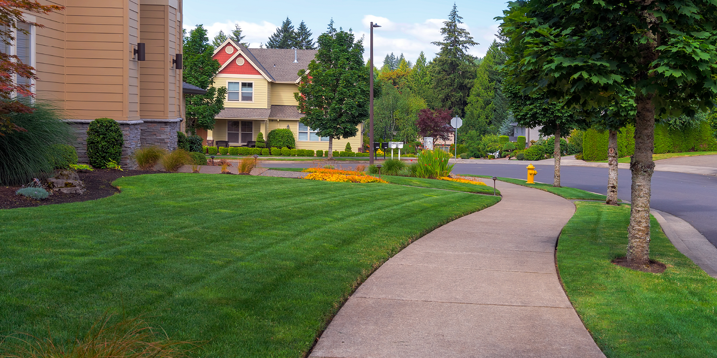 A freshly mowed front yard and sidewalk in a suburban neighborhood with many trees. 