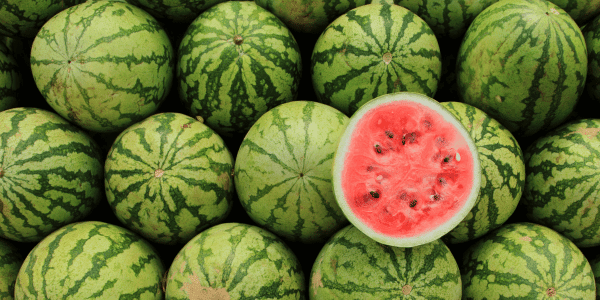 aerial shot of whole watermelons with single cut open watermelon