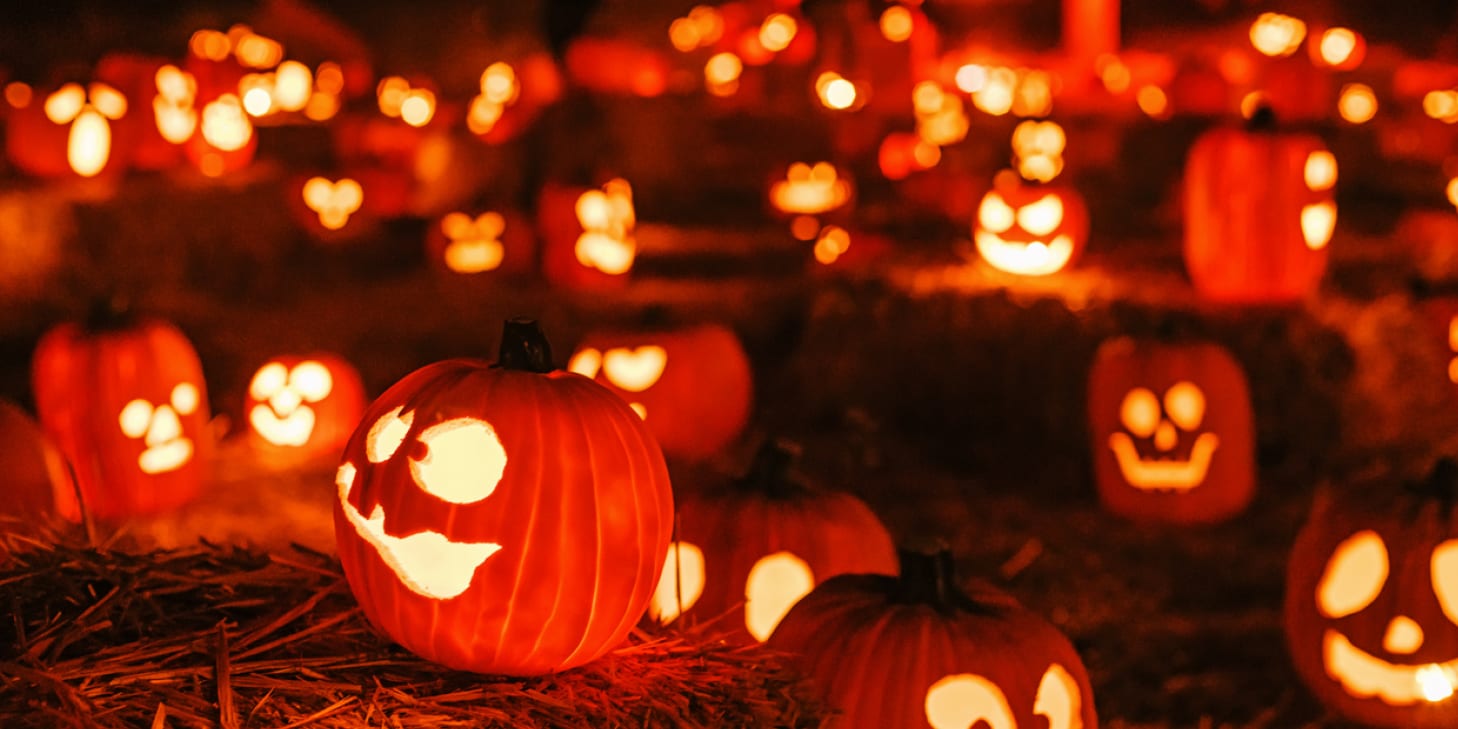 Pumpkins glow eerily under autumn night sky during Halloween celebration
