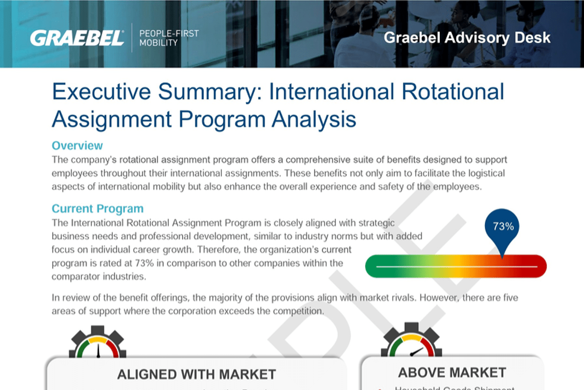 Program Analysis Executive Summary Sample