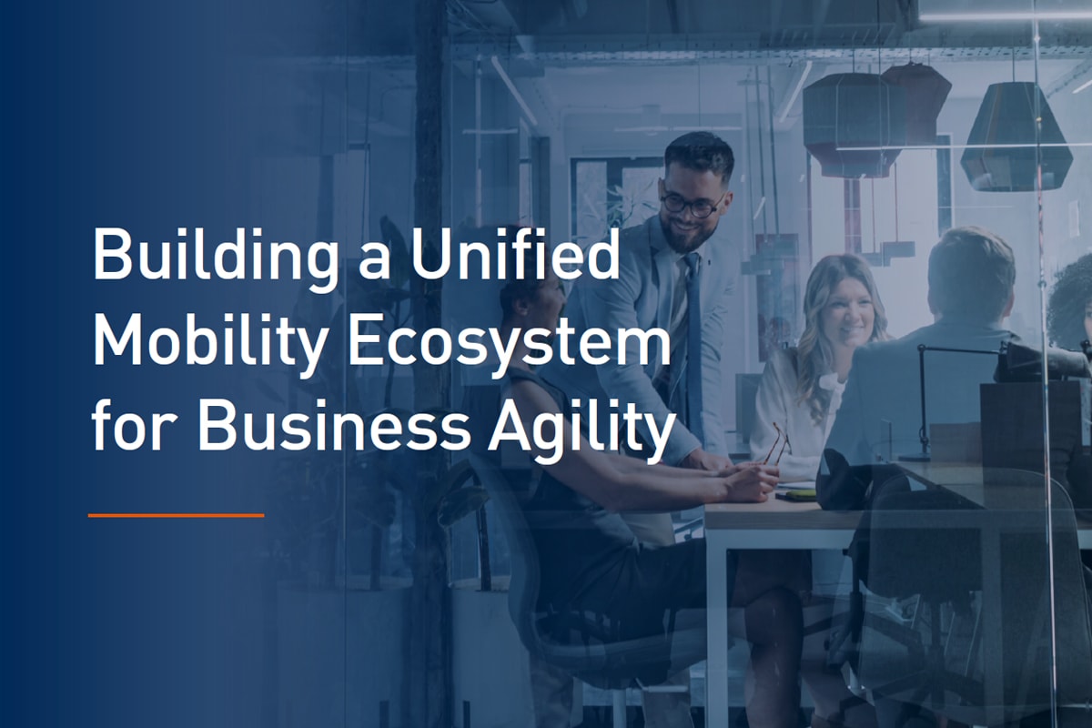 Graebel simplifies a global pharmaceutical company’s mobility ecosystem with unified processes and technology