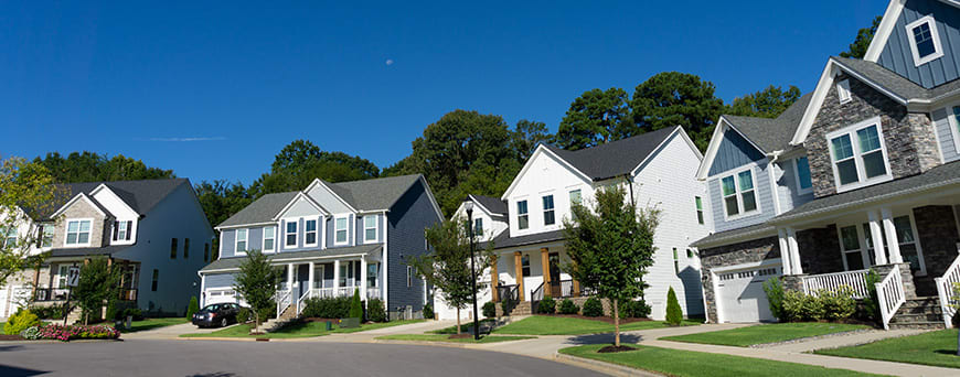 Houses in neighborhood
