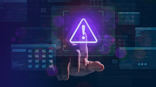 VeriSight Anti‑Fraud Government Solutions