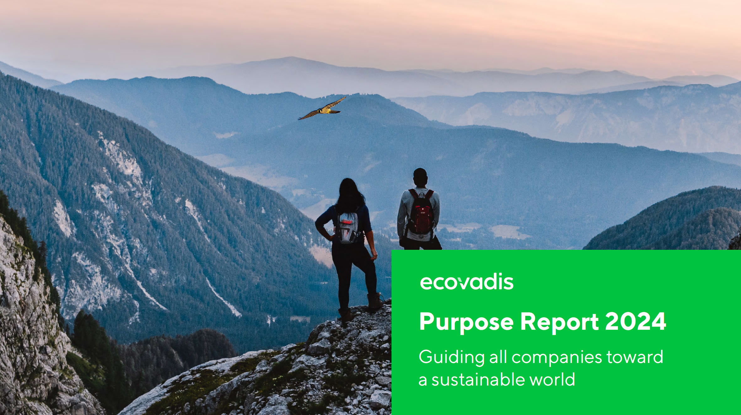 Purpose Report 2024