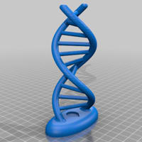 3D printed genetics model