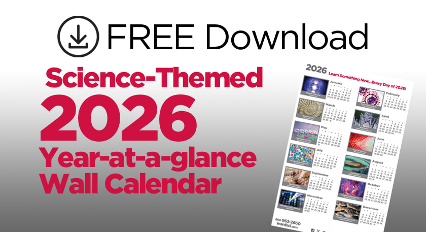 2026 Ward's Wall Calendar