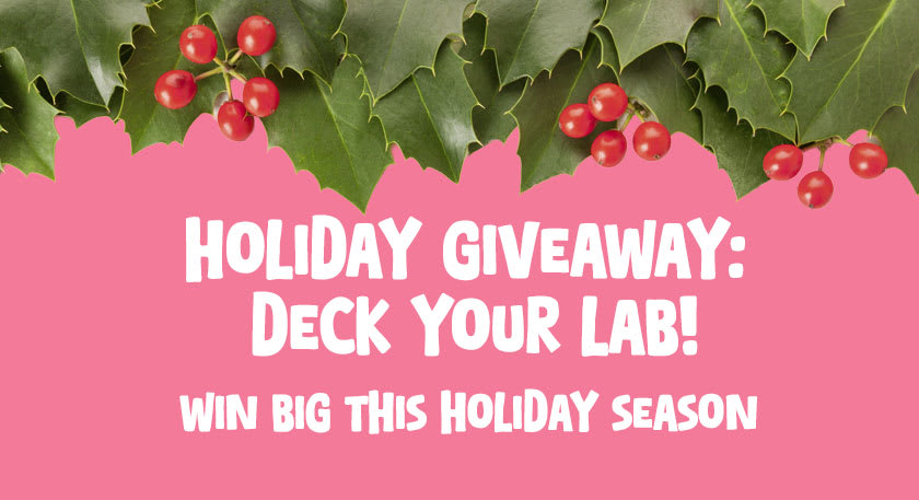 2025 Holiday Giveaway 