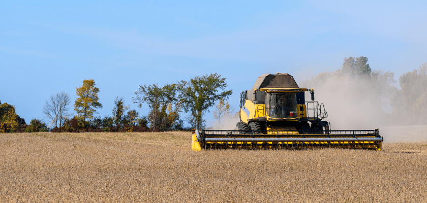Combine harvester reaping ripe wheat crops in a field on a sunny autumn day.