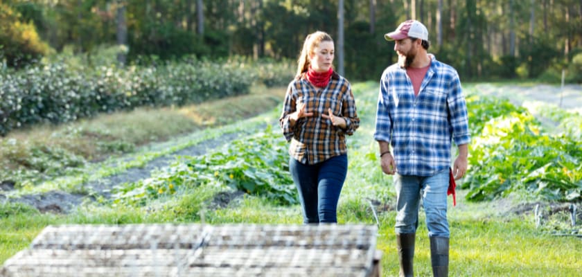 Couple working on family farm walk near field, talking