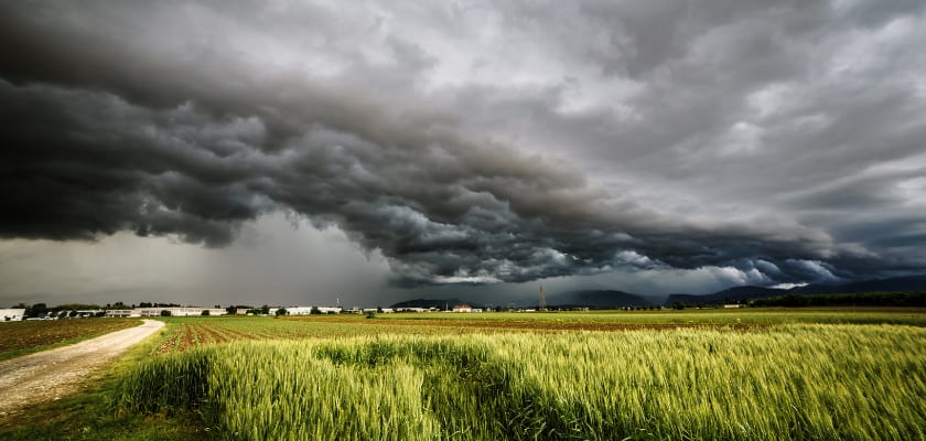 Storm clouds over a farmer's field.