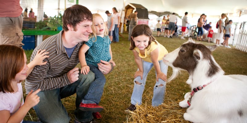 Family at a county fair