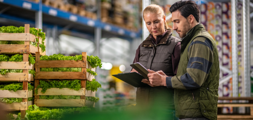 Male and female workers using digital tablet while checking crates of lettuce in warehouse.