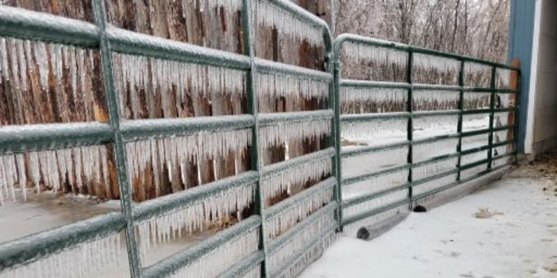A fence on a farm covered in ice.