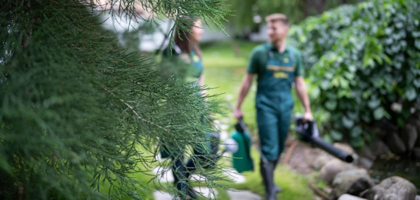 Man and woman are walking in garden and carrying gardening equipment.