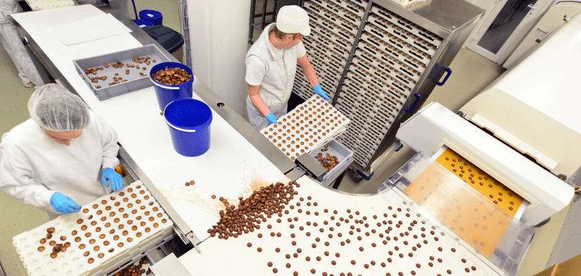 Production of pralines in a factory for the food industry - conveyor belt worker with chocolate.