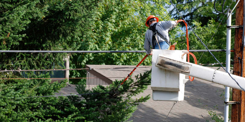 Worker trimming a tree with a power saw.